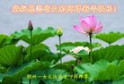 ֹ,ݴ󷨵ӹףʦ(21)