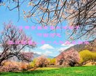 ֹ,󷨵ӹףʦ(18)
