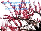 ֹ,󷨵ӹףʦ(19)