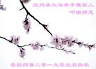 ֹ,󷨵ӹףʦ(19)