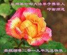 ֹ,󷨵ӹףʦ(19)