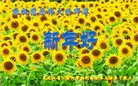 ֹ,󷨵ӹףʦ(18)