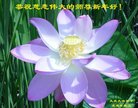 ֹ,󷨵ӹףʦ(20)