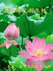 ֹ,󷨵ӹףʦ(22)