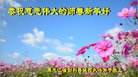 ֹ,󷨵ӹףʦ(18)