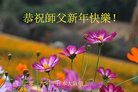 ֹ,Ϋ󷨵ӹףʦ(22)