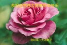 ֹ,ϴ󷨵ӹףʦ(19)