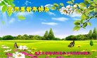 ֹ,󷨵ӹףʦ(19)