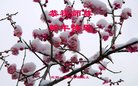 ֹ,󷨵ӹףʦ(20)
