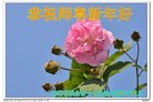 ֹ,ʡ󷨵ӹףʦ(19)