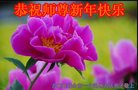 ֹ,ʡ󷨵ӹףʦ(19)