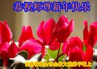 ֹ,ʡ󷨵ӹףʦ(19)