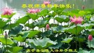 ֹ,󷨵ӹףʦ(19)