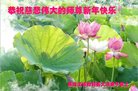 ֹ,󷨵ӹףʦ(19)