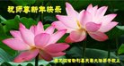 ֹ,󷨵ӹףʦ(19)