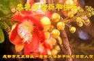 ֹ,ɶ󷨵ӹףʦ(20)