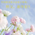 法轮功,河南大法弟子恭祝师尊新年好(22条)