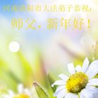 ֹ,ϴ󷨵ӹףʦ(22)
