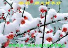 ֹ,ʡ󷨵ӹףʦ(21)
