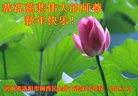 ֹ,ϴ󷨵ӹףʦ(19)