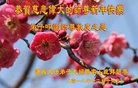 ֹ,Ϋ󷨵ӹףʦ(21)