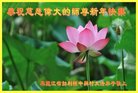 ֹ,󷨵ӹףʦ(19)