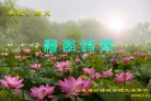 ֹ,Ϋ󷨵ӹףʦ(19)
