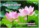 ֹ,Ϋ󷨵ӹףʦ(19)