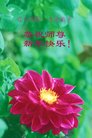 ֹ,󷨵ӹףʦ(20)