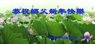 ֹ,Ϋ󷨵ӹףʦ(19)
