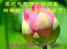 ֹ,󷨵ӹףʦ(22)