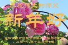 ֹ,󷨵ӹףʦ(21)