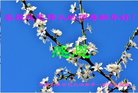 ֹ,󷨵ӹףʦ(20)