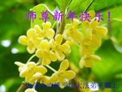 ֹ,ɹŴ󷨵ӹףʦ(29)