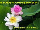 ֹ,ʡ󷨵ӹףʦ(19)