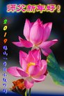 法轮功,广东大法弟子恭祝师尊新年好(25条)