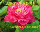 ֹ,󷨵ӹףʦ(23)