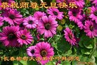 ֹ,󷨵ӹףʦ(21)