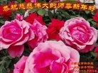 ֹ,ʯׯ󷨵ӹףʦ(23)
