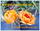 ֹ,󷨵ӹףʦ(19)