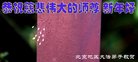 ֹ,󷨵ӹףʦ(24)