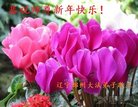 ֹ,ݴ󷨵ӹףʦ(21)
