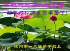 ֹ,󷨵ӹףʦ(22)