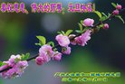 ֹ,ݴ󷨵ӹףʦ(20)