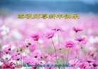 ֹ,󷨵ӹףʦ(21)