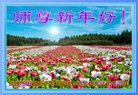 ֹ,󷨵ӹףʦ(21)