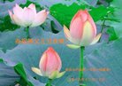 ֹ,󷨵ӹףʦ(20)