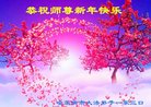 ֹ,󷨵ӹףʦ(20)