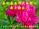 ֹ,㶫󷨵ӹףʦ(25)