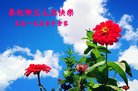ֹ,󷨵ӹףʦ(20)